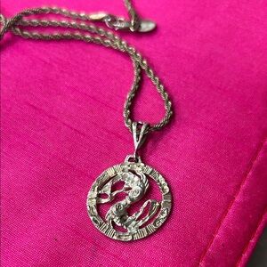 Sterling Silver Zodiac Pendant Necklace 20” chain